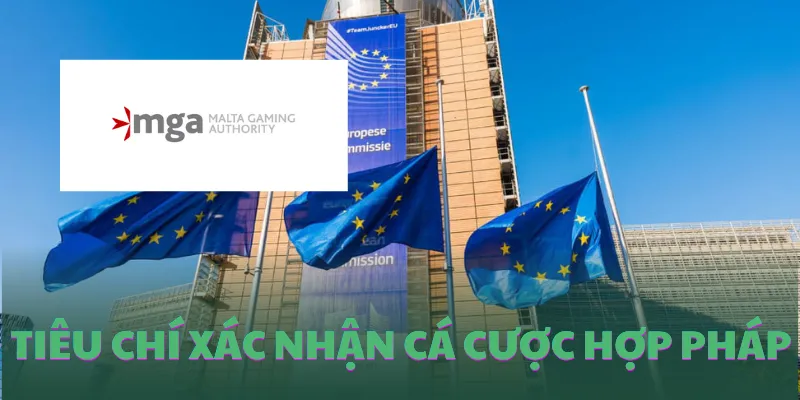 Tiêu chí xác nhận nền tảng cá cược hợp pháp
